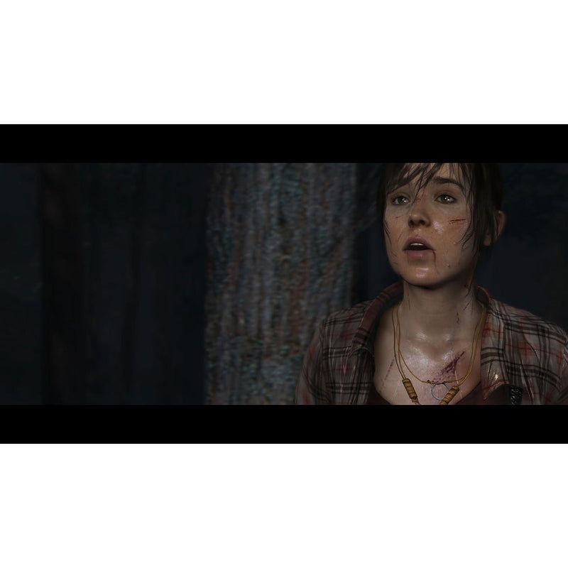 Heavy Rain and Beyond Two Souls Collection Sony PlayStation 4