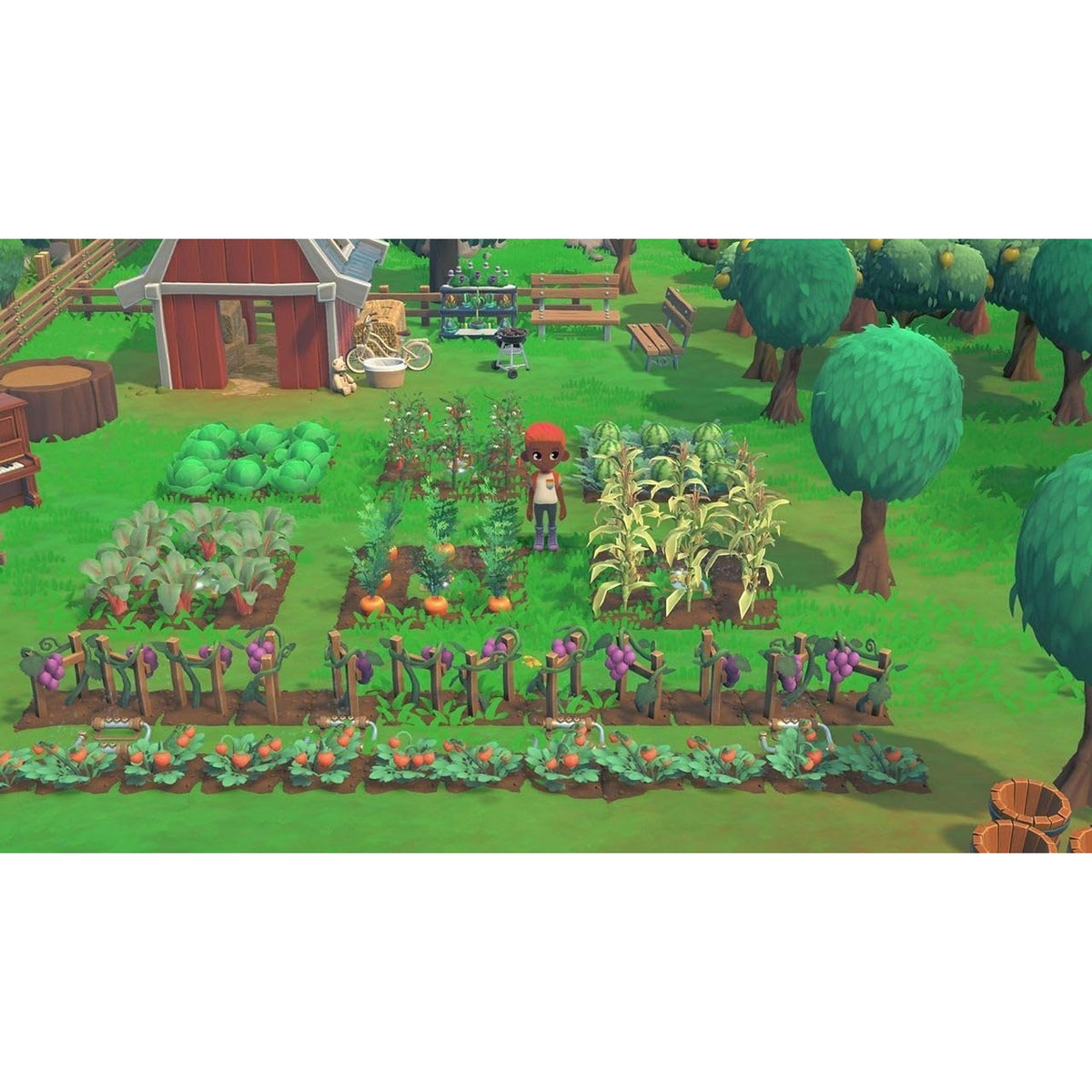 Achetez Hokko Life Steam PC PS4 Switch Xbox Achetez Hokko Life Steam PC PS4 Switch Xbox