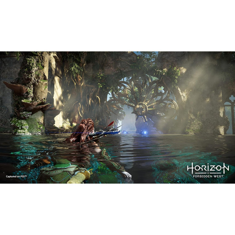 Horizon Forbidden West Sony PlayStation 5
