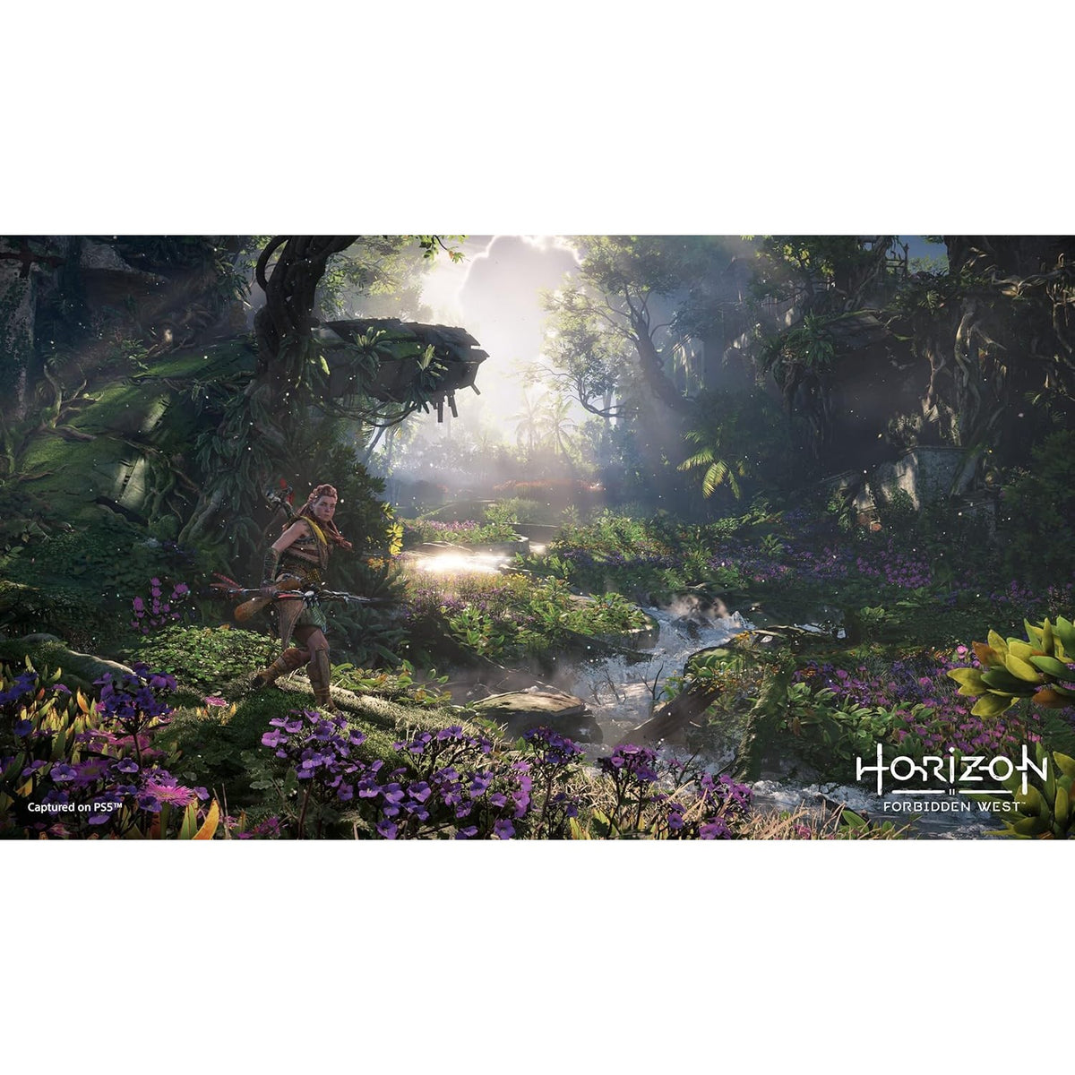 Horizon Forbidden West Sony PlayStation 5