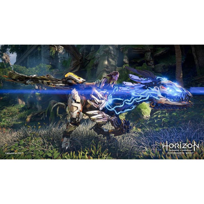 Horizon Forbidden West Sony PlayStation 4