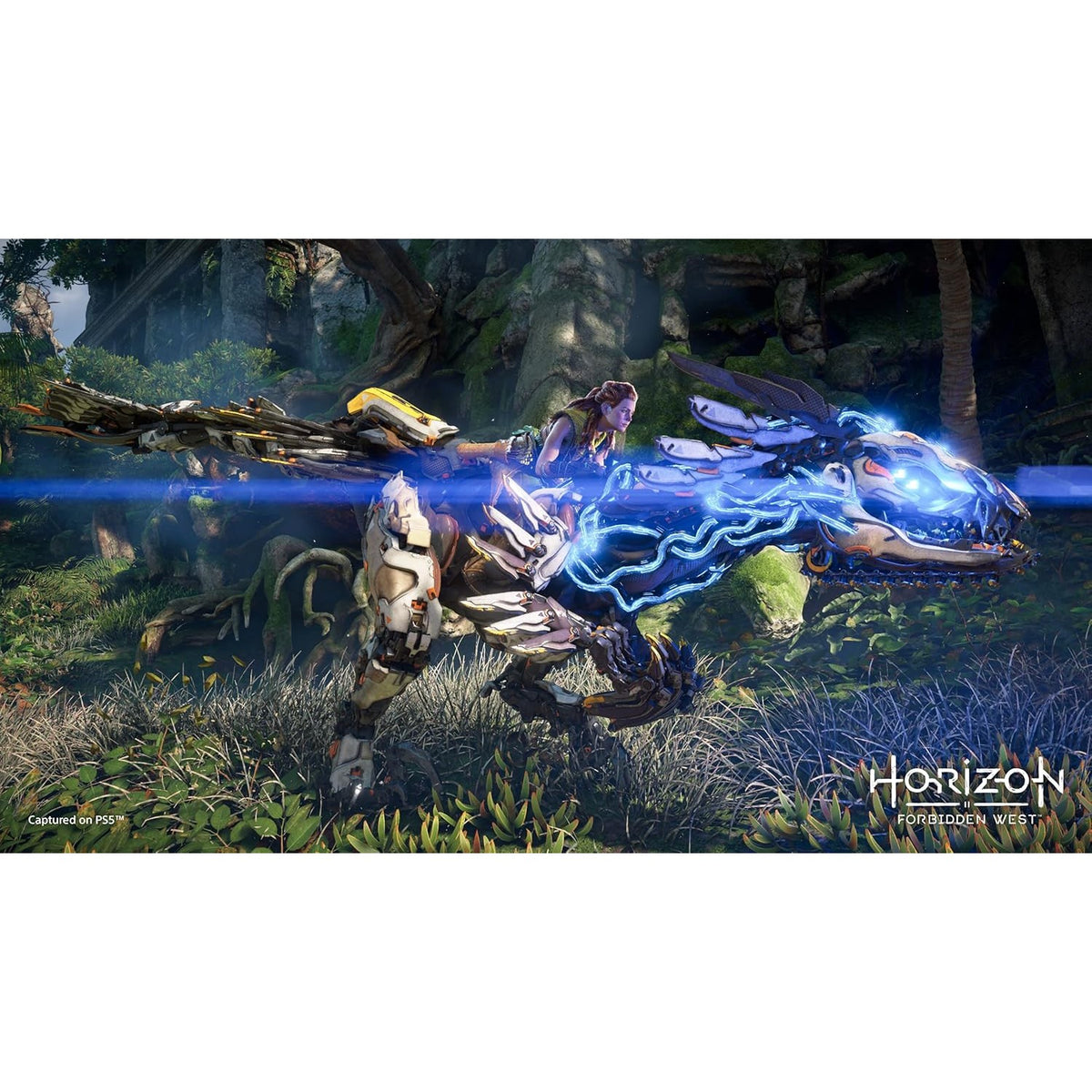 Horizon Forbidden West Sony PlayStation 5